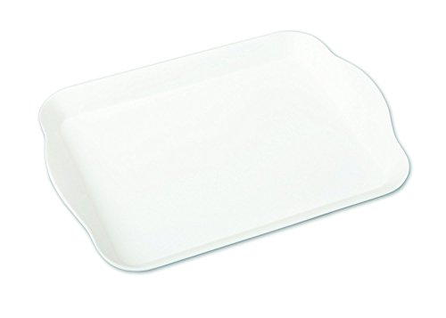 AMAZING CHILD Attractive Premium Small Plastic Tray. Approx. 11" x 8"