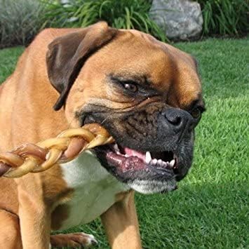 Pawstruck 12" Braided Bully Sticks for Dog, Pet Food, Beef Flavor, Natural Bulk Dog Dental Treats & Healthy Chews, Chemical Free, 12 inch Best Low Odor Pizzle Stix (5 Stick(s)), 1.08 Pounds