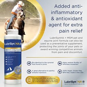 LubriSyn Hyaluronic Acid + MSM Joints Supplement, 16oz: Natural Pure HA Liquid Dog and Cat Joint & Cartilage Support, Relief, and Lubrication for Pets Including Dogs, Cats and Horses, Vegan Formula