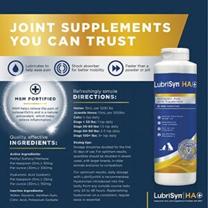 LubriSyn Hyaluronic Acid + MSM Joints Supplement, 16oz: Natural Pure HA Liquid Dog and Cat Joint & Cartilage Support, Relief, and Lubrication for Pets Including Dogs, Cats and Horses, Vegan Formula