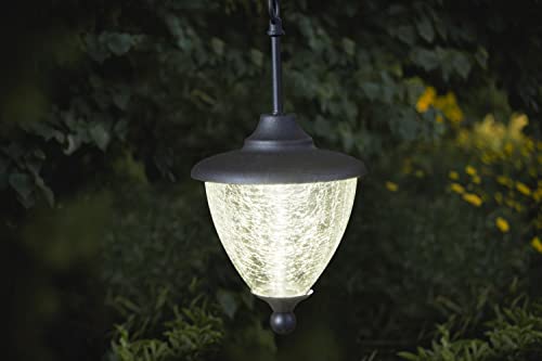 Classy Caps HL152 Eclipse Solar Hanging Chandelier, Black