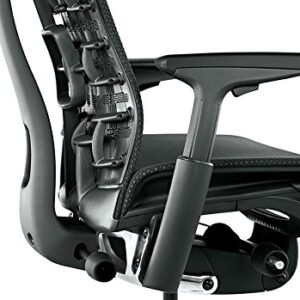 Herman Miller Embody Ergonomic Office Chair | Fully Adjustable Arms and Carpet Casters | Black Rhythm