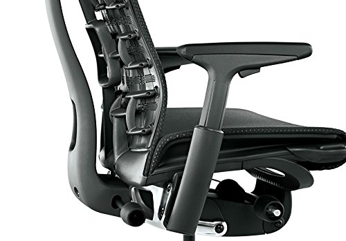 Herman Miller Embody Ergonomic Office Chair | Fully Adjustable Arms and Carpet Casters | Black Rhythm