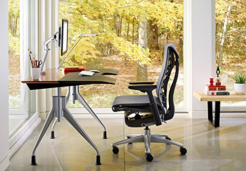 Herman Miller Embody Ergonomic Office Chair | Fully Adjustable Arms and Carpet Casters | Black Rhythm