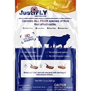 JustiFLY Champion USA Feedthrough Cattle Fly Control, Single | Non-Toxic Larvicide. Controls All Four Fly Species That Affect Cattle. Over 50 Million Head Treated