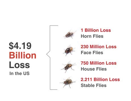 JustiFLY Champion USA Feedthrough Cattle Fly Control, Single | Non-Toxic Larvicide. Controls All Four Fly Species That Affect Cattle. Over 50 Million Head Treated