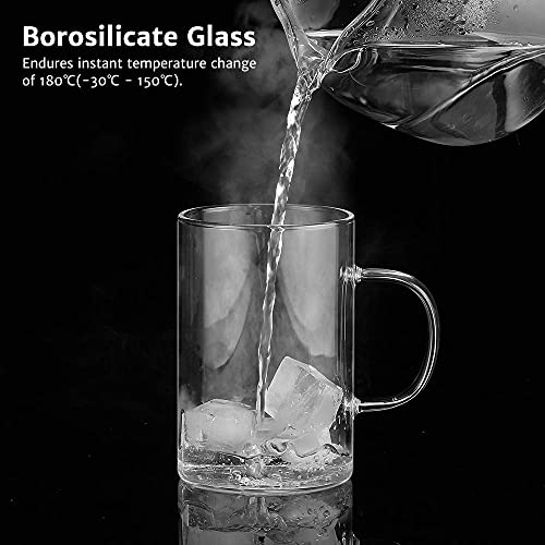 Ecooe 16.9 Oz Borosilicate Glass Tea Mug Cup Tea Glasses with Stainless Steel Infuser & Lid, Loose Leaf Glass Tea Cup Teacup 500mL
