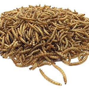Pecking Order Dried Mealworms, 30 oz