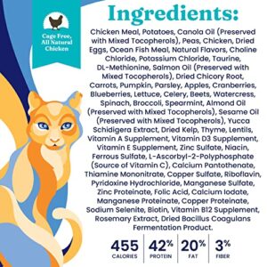 Solid Gold High Protein Dry Cat Food - Indigo Moon Cat Dry Food with Digestive Probiotics for Cats - Grain & Gluten Free with High Fiber & Omega 3 for Cats - Low Carb Superfood Meal - Chicken - 3lb