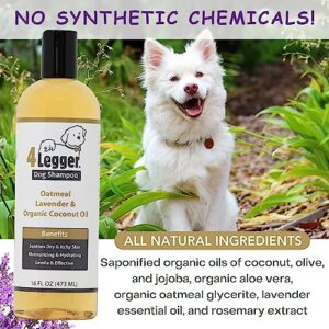 4Legger Organic Dog Shampoo USDA Certified Organic, All Natural Hypoallergenic Dog Shampoo with Oatmeal, Lavender, and Coconut Oil - Organic Oatmeal Shampoo for Dogs - Dog Shampoo for Itchy Skin 16 oz