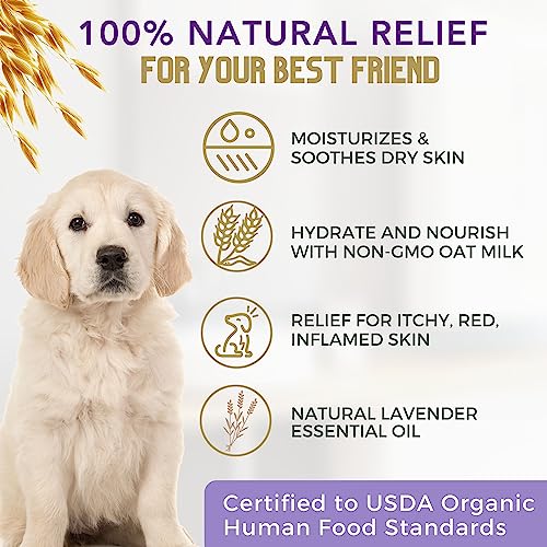 4Legger Organic Dog Shampoo USDA Certified Organic, All Natural Hypoallergenic Dog Shampoo with Oatmeal, Lavender, and Coconut Oil - Organic Oatmeal Shampoo for Dogs - Dog Shampoo for Itchy Skin 16 oz