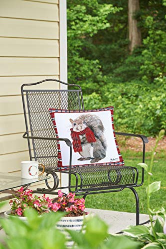 C&F Home Plaid Squirrel with Scarf Premium Indoor/Outdoor Pillow Christmas Patio Decor Decoration Accent Throw Pillow 18 x 18 Multi Color