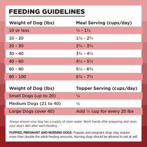 BIXBI Rawbble Freeze Dried Dog Food, Beef Recipe, 12 oz - 98% Meat and Organs, No Fillers - Pantry-Friendly Raw Dog Food for Meal, Treat or Food Topper - USA Made in Small Batches