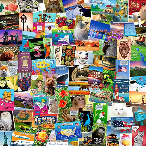 POSTCARD SET of 50 cards. Post card variety pack of random assortment of 50 mixed postcards. Made in USA.