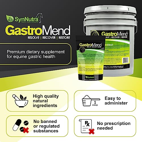 GastroMend Ulcer Supplement for Horses, 100% Natural Equine Stomach Health for Horses, Promotes Healing & Prevention of Gastric Ulcers, Supports Gastric and Hindgut Health, 30 Servings, Made in USA