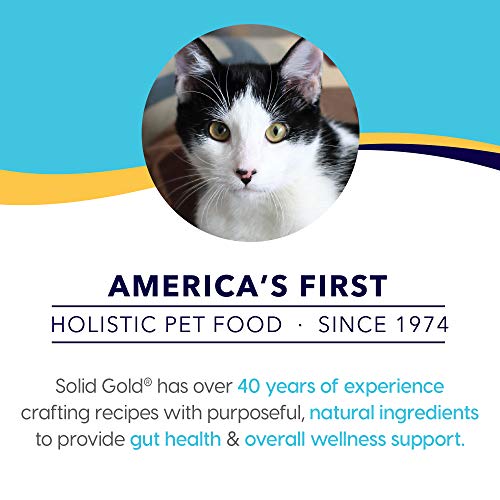 Solid Gold Wet Cat Food Pouches - Holistic Delights Creamy Bisque Lickable Cat Treats - Grain Free with Real Chicken in Coconut Puree for Your Kitten, Adult or Senior Cat - 24Ct/3oz Pouch
