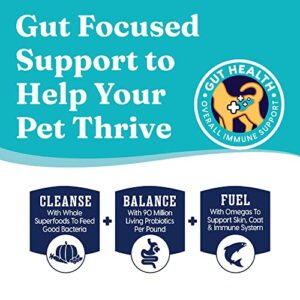 Solid Gold Wet Cat Food Shreds in Gravy - Canned Cat Food Made w/Real Tuna for Cats of All Ages - Five Oceans Grain Free Cat Wet Food for Sensitive Stomach & Overall Wellness - 16ct/6oz Can