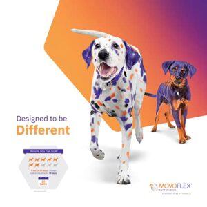 MOVOFLEX Dog Hip & Joint Support for Large Dogs - Veterinarian Formulated - One Chew A Day Serving Size - Gluten Free - 60 Soft Chews