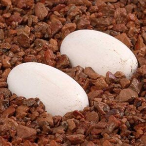 Pangea Hatch Premium Reptile Egg Incubation Substrate (1 lb)