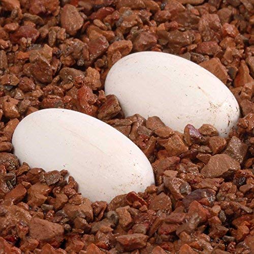 Pangea Hatch Premium Reptile Egg Incubation Substrate (1 lb)