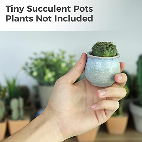 T4U Small Ceramic Succulent Pots with Drainage Set of 6, Mini Pots for Plants, Tiny Porcelain Planter, Air Plant Flower Pots Cactus Faux Plants Containers, Home and Office Decor