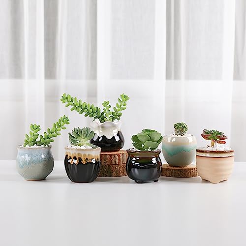 T4U Small Ceramic Succulent Pots with Drainage Set of 6, Mini Pots for Plants, Tiny Porcelain Planter, Air Plant Flower Pots Cactus Faux Plants Containers, Home and Office Decor