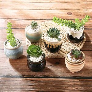 T4U Small Ceramic Succulent Pots with Drainage Set of 6, Mini Pots for Plants, Tiny Porcelain Planter, Air Plant Flower Pots Cactus Faux Plants Containers, Home and Office Decor