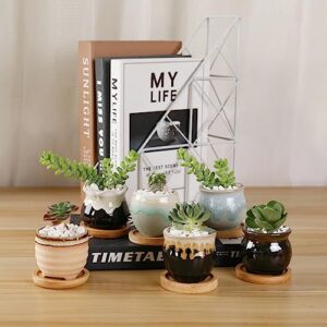 T4U Small Ceramic Succulent Pots with Drainage Set of 6, Mini Pots for Plants, Tiny Porcelain Planter, Air Plant Flower Pots Cactus Faux Plants Containers, Home and Office Decor