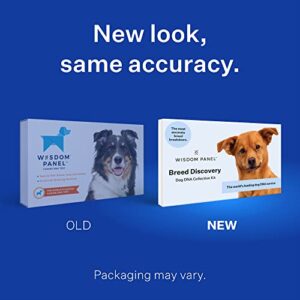 Wisdom Panel Breed Discovery Dog DNA Kit: Most Accurate Dog Breed Identification, Test for 350+ Breeds, MDR1 Health Test, Ancestry, Relatives