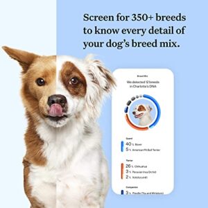 Wisdom Panel Breed Discovery Dog DNA Kit: Most Accurate Dog Breed Identification, Test for 350+ Breeds, MDR1 Health Test, Ancestry, Relatives