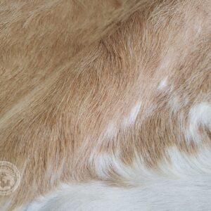 Genuine Palomino Beige and White Cowhide Rug 6 x 7-8 ft. 180 x 240 cm