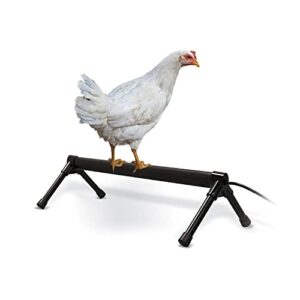 k&h pet products thermo-chicken heated perch gray 36" 55w