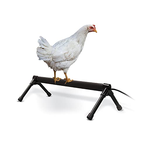 K&H Pet Products Thermo-Chicken Heated Perch Gray 36" 55W