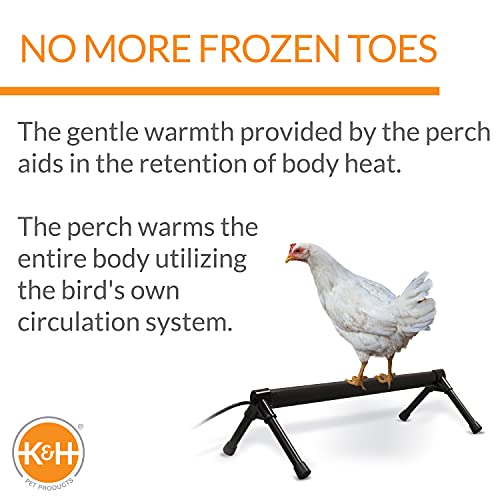 K&H Pet Products Thermo-Chicken Heated Perch Gray 36" 55W