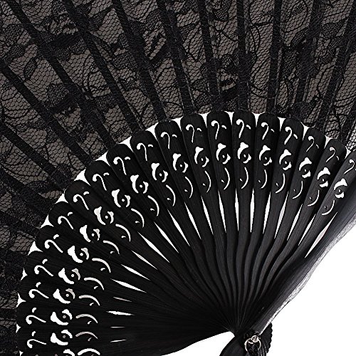 HONBAY Lady's Girl's Vintage Retro Flower Lace Handheld Folding Hand Fan (Black)