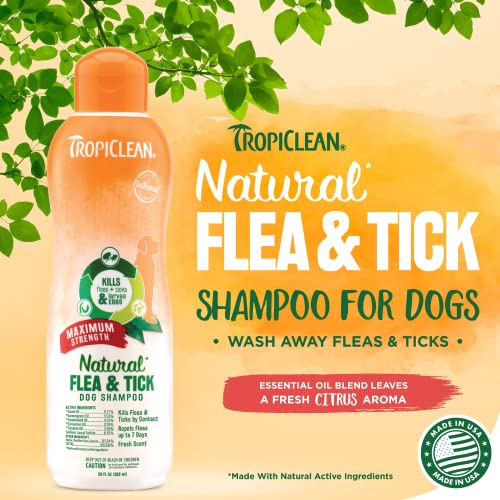 TropiClean Maximum Strength Natural Flea and Tick Dog Shampoo, Natural Flea and Tick Prevention for Dogs, Made in the USA, 20oz