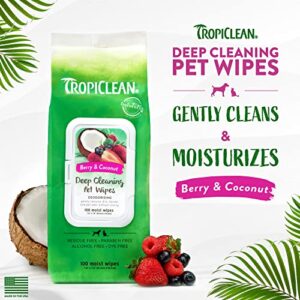 TropiClean Berry & Coconut Dog Wipes for Paws and Butt | Deep Cleaning Dog Grooming Wipes | Safe for The Face | Cat Friendly | 100 Count