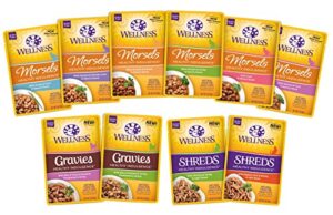 wellness healthy indulgence wet cat food pouch variety pack, 10 flavors, 3-ounces each (10 pack)