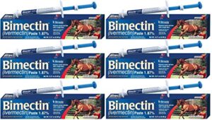 bimectin ivermectin paste horse wormer (1.87 ivermectin) - 6 doses, model: , home & outdoor store