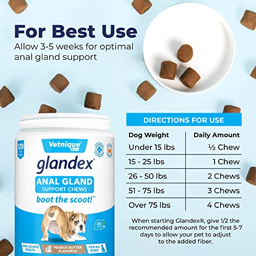 Glandex Anal Gland Soft Chew Treats with Pumpkin for Dogs Digestive Enzymes, Probiotics Fiber Supplement for Dogs Boot The Scoot (Peanut Butter Chews, 120ct)