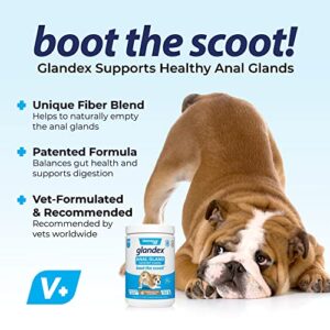 Glandex Anal Gland Soft Chew Treats with Pumpkin for Dogs Digestive Enzymes, Probiotics Fiber Supplement for Dogs Boot The Scoot (Peanut Butter Chews, 120ct)