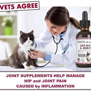 NODENS CAT Hip and Joint Glucosamine for Cats with Chondroitin and Opti-MSM® Hyaluronic Acid for Improved Joint Flexibility and Pain Relief from Inflammation and Cat Arthritis 2 floz