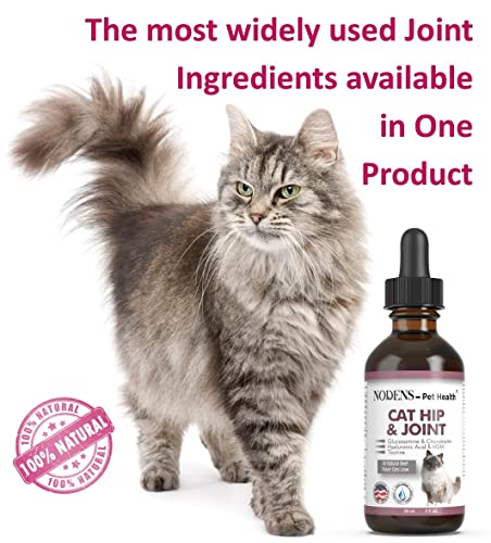 NODENS CAT Hip and Joint Glucosamine for Cats with Chondroitin and Opti-MSM® Hyaluronic Acid for Improved Joint Flexibility and Pain Relief from Inflammation and Cat Arthritis 2 floz