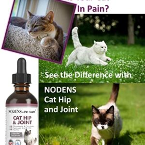 NODENS CAT Hip and Joint Glucosamine for Cats with Chondroitin and Opti-MSM® Hyaluronic Acid for Improved Joint Flexibility and Pain Relief from Inflammation and Cat Arthritis 2 floz