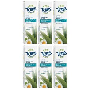 tom's of maine fluoride-free botanically bright toothpaste, natural toothpaste, whitening toothpaste, spearmint, 4.7 ounce, 6-pack