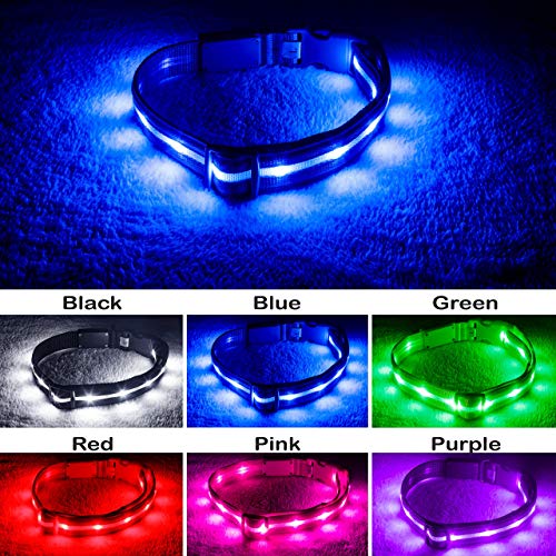 Blazin LED Light Up Dog Collar - 1,000 Feet of Visibility - Brightest for Night Safety - USB Rechargeable Waterproof Dog Collar Light