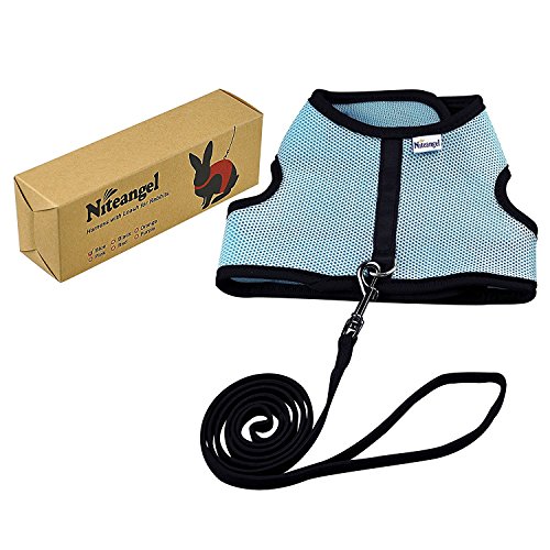 Niteangel Adjustable Soft Harness with Elastic Leash for Rabbits (L, Blue)