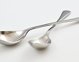 Zoie + Chloe Stainless Steel Saucier Drizzle Spoon with Tapered Spout - Set of 2