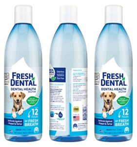 naturel promise fresh dental water additive - dental health solution for dogs - easy to use - helps clean teeth - freshens breath up to 12 hours - no brushing required - 18 fl oz, 3 pack