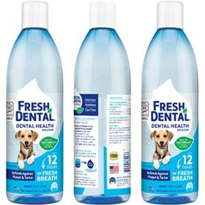 Naturel Promise Fresh Dental Water Additive - Dental Health Solution for Dogs - Easy to Use - Helps Clean Teeth - Freshens Breath Up to 12 Hours - No Brushing Required - 18 Fl Oz, 3 Pack